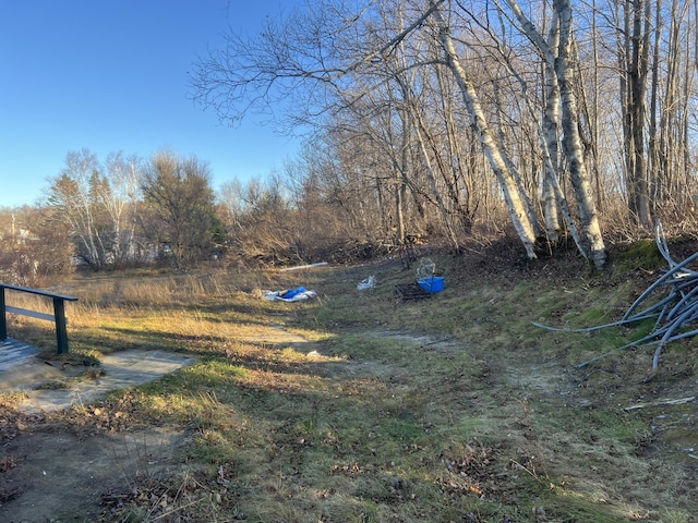 23 Hillcrest Ave, Millinocket, ME 04462 - view of yard
