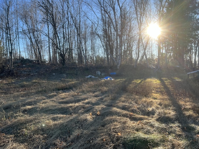 23 Hillcrest Ave, Millinocket, ME 04462 - view of yard