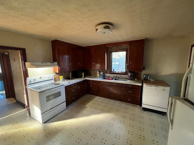 kitchen featuring tasteful backsplash, a textured ceiling, white appliances, ventilation hood, and sink