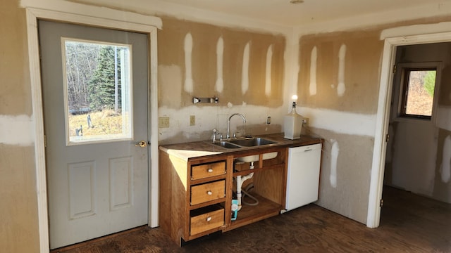 kitchen featuring white dishwasher, dark hardwood / wood-style floors, and sink