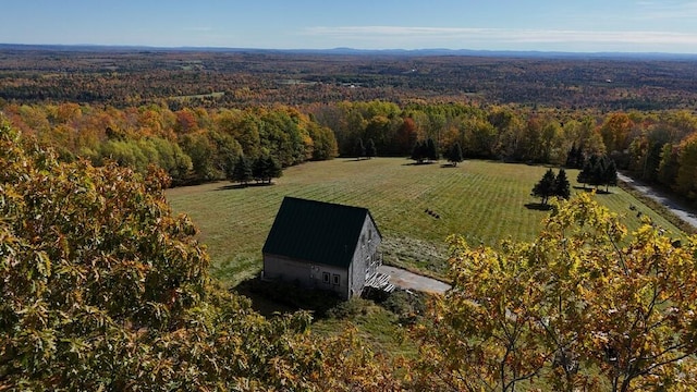 drone / aerial view featuring a rural view