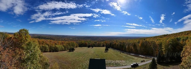 drone / aerial view featuring a rural view