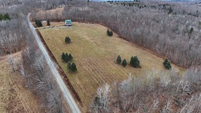 bird's eye view with a rural view