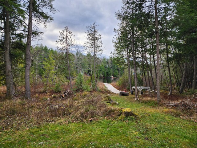84 Maple Ln, Hartland, ME 04943 - photo 16