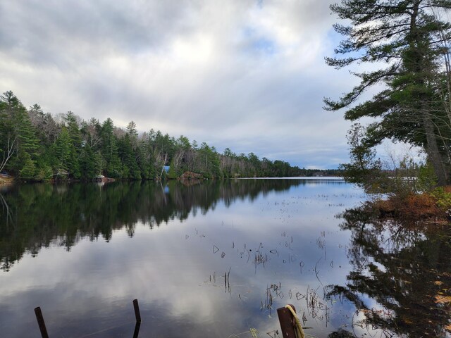 84 Maple Ln, Hartland, ME 04943 - photo 3