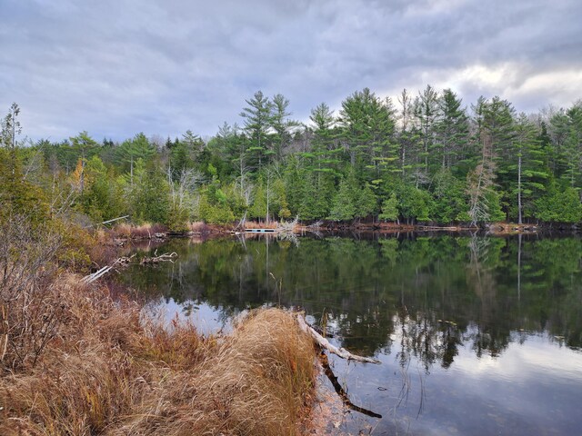 84 Maple Ln, Hartland, ME 04943 - photo 17