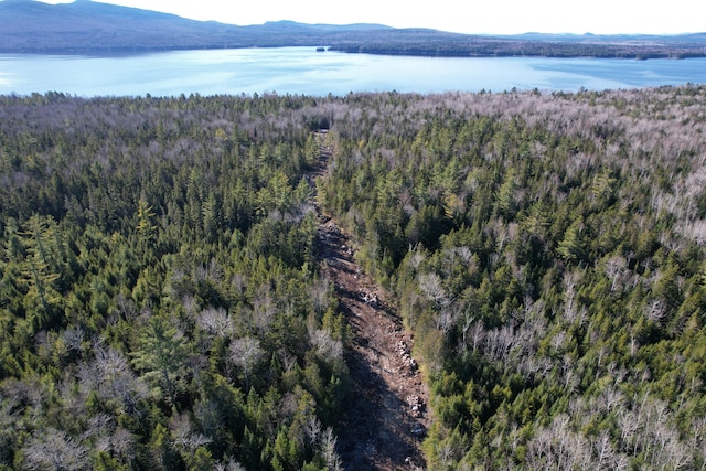 LOT31-2 Bemis Rd, Rangeley Plt ME, 04970 land for sale