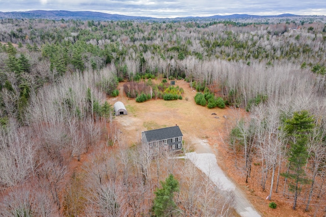 drone / aerial view with a mountain view