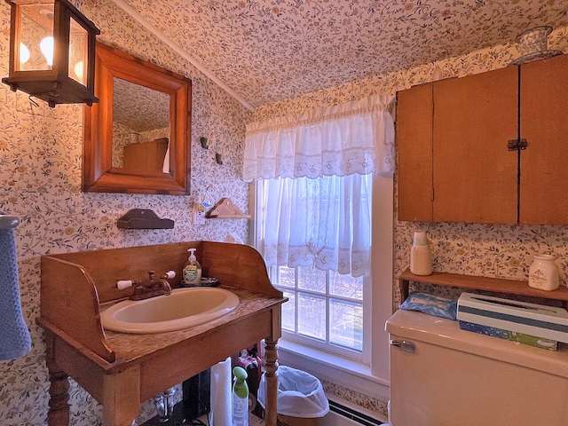 bathroom with toilet and sink