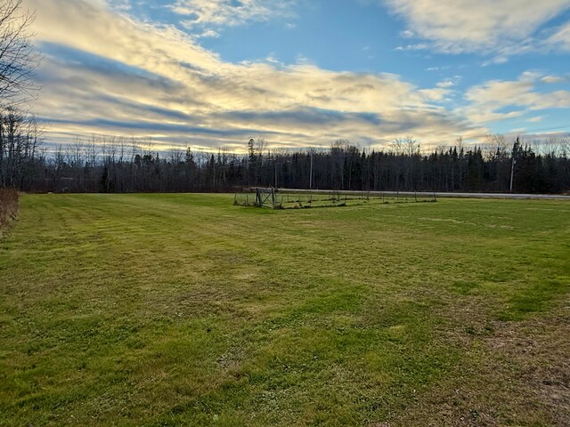 view of yard with a rural view