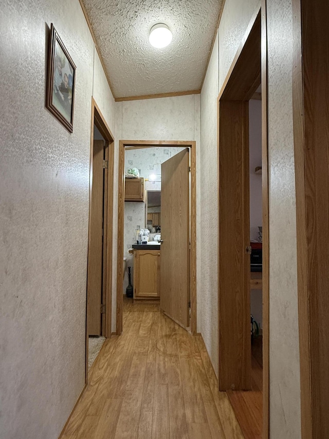 526 Darling Rd, Hudson, ME 04449 - hallway with light wood-type flooring, a textured ceiling, and a textured wall
