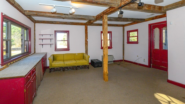 basement featuring a wealth of natural light, light carpet, and track lighting