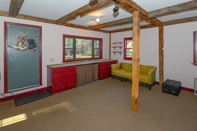 interior space with carpet floors