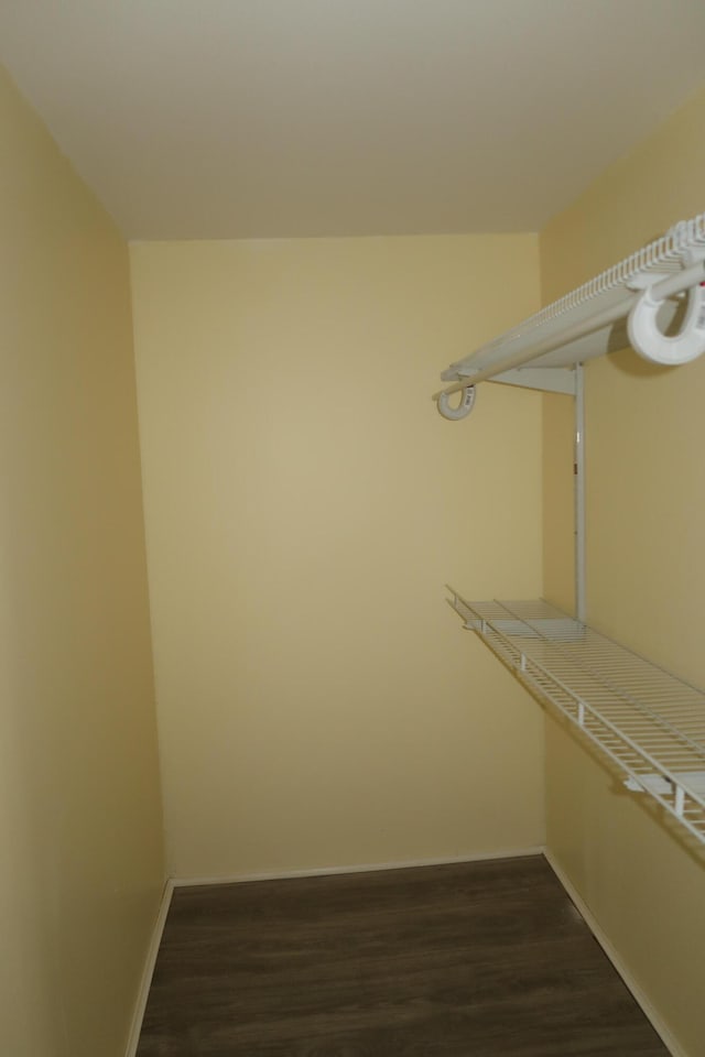 walk in closet featuring dark hardwood / wood-style flooring