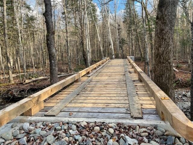 0 Little Huston Brook Rd, Concord Twp, ME 04920 - surrounding community featuring a forest view