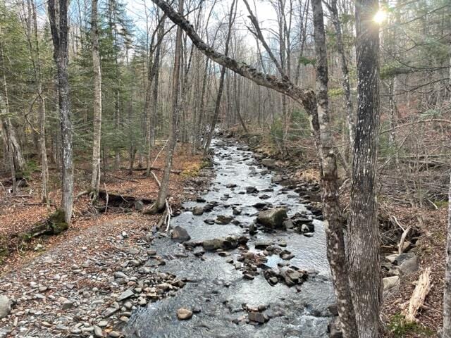 view of local wilderness