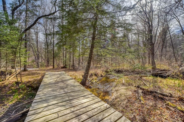 0 Little Huston Brook Rd, Concord Twp, ME 04920 - dock featuring a view of trees
