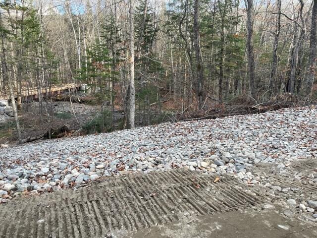 0 Little Huston Brook Rd, Concord Twp, ME 04920 - view of wooded area