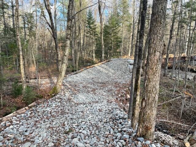 0 Little Huston Brook Rd, Concord Twp, ME 04920 - view of street with a wooded view