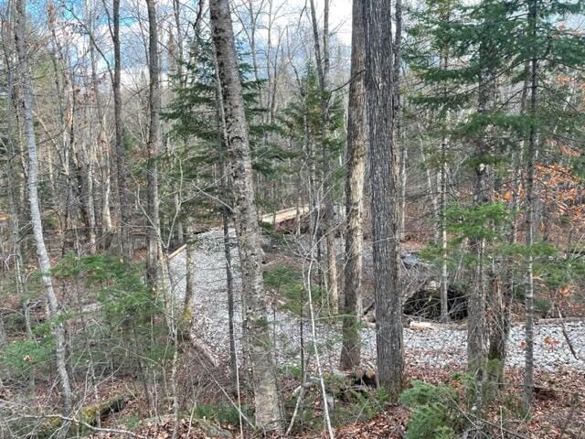 0 Little Huston Brook Rd, Concord Twp, ME 04920 - view of local wilderness