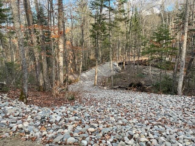 0 Little Huston Brook Rd, Concord Twp, ME 04920 - view of woods
