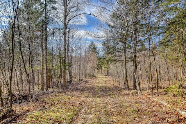 0 Little Huston Brook Rd, Concord Twp, ME 04920 - view of woods