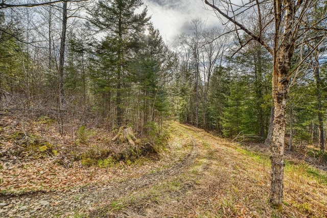 0 Little Huston Brook Rd, Concord Twp, ME 04920 - view of tree filled area