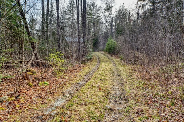 0 Little Huston Brook Rd, Concord Twp, ME 04920 - view of local wilderness