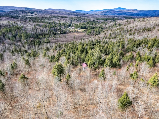 bird's eye view featuring a mountain view