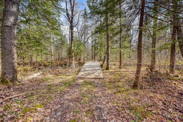 0 Little Huston Brook Rd, Concord Twp, ME 04920 - view of yard featuring a view of trees