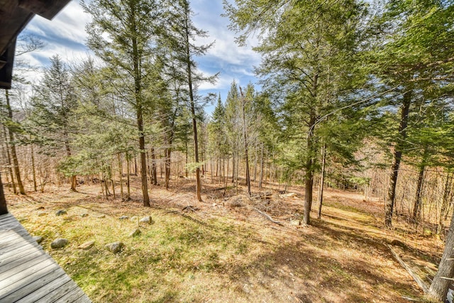0 Little Huston Brook Rd, Concord Twp, ME 04920 - view of yard