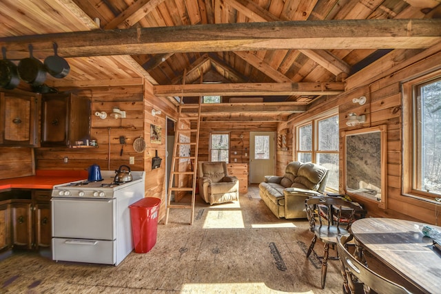 0 Little Huston Brook Rd, Concord Twp, ME 04920 - kitchen featuring white gas stove, wooden walls, and wood ceiling