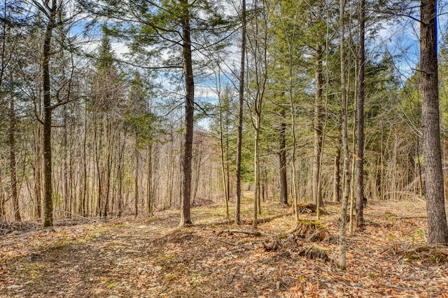 0 Little Huston Brook Rd, Concord Twp, ME 04920 - view of tree filled area