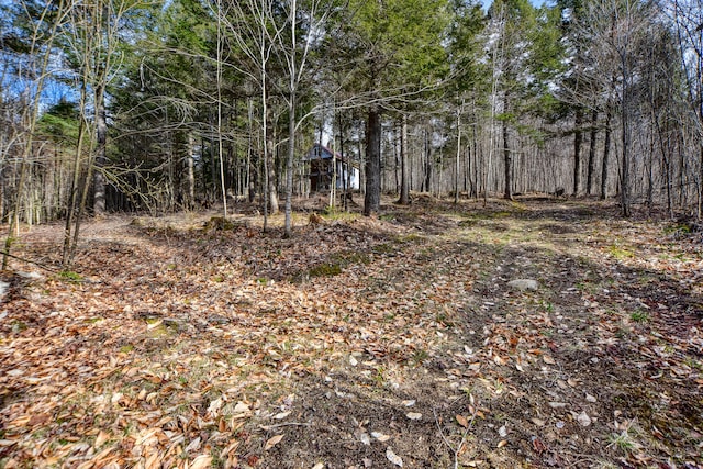 view of local wilderness