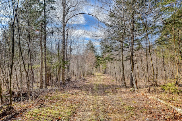 0 Little Huston Brook Rd, Concord Twp, ME 04920 - view of tree filled area