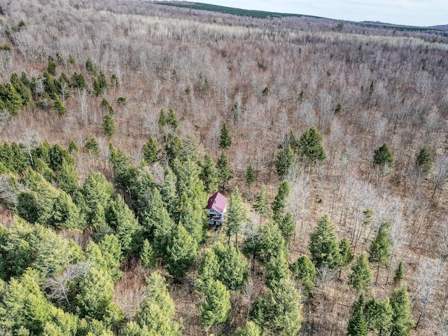 0 Little Huston Brook Rd, Concord Twp, ME 04920 - drone / aerial view of a forest