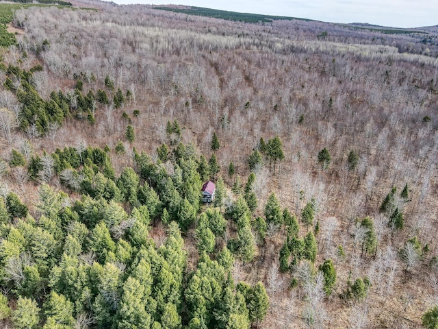 0 Little Huston Brook Rd, Concord Twp, ME 04920 - drone / aerial view of a forest
