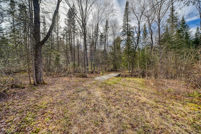 0 Little Huston Brook Rd, Concord Twp, ME 04920 - view of wooded area