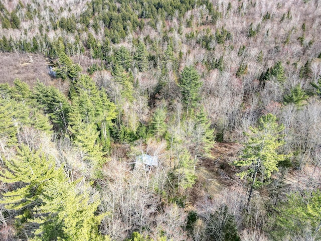 0 Little Huston Brook Rd, Concord Twp, ME 04920 - bird's eye view