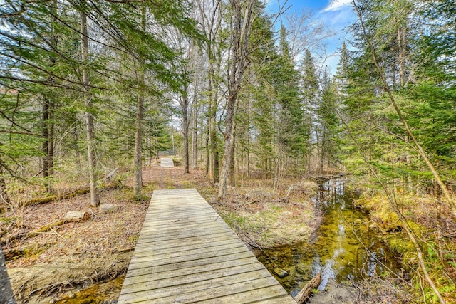 0 Little Huston Brook Rd, Concord Twp, ME 04920 - view of surrounding community