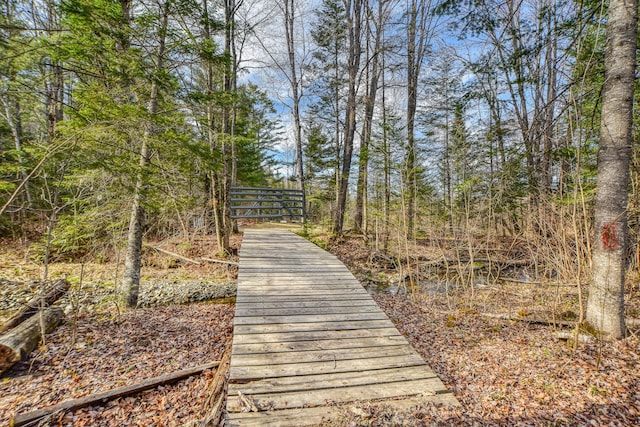 0 Little Huston Brook Rd, Concord Twp, ME 04920 - view of surrounding community