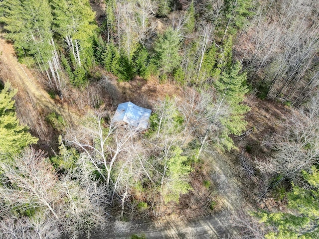 0 Little Huston Brook Rd, Concord Twp, ME 04920 - bird's eye view