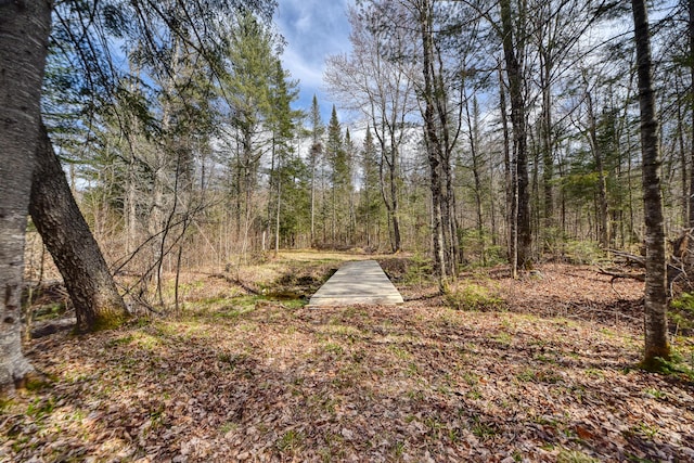 0 Little Huston Brook Rd, Concord Twp, ME 04920 - view of yard featuring a wooded view