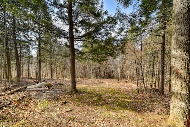 0 Little Huston Brook Rd, Concord Twp, ME 04920 - view of tree filled area