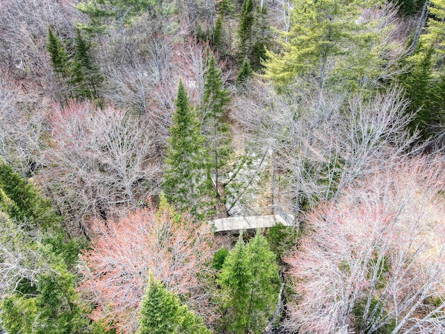 0 Little Huston Brook Rd, Concord Twp, ME 04920