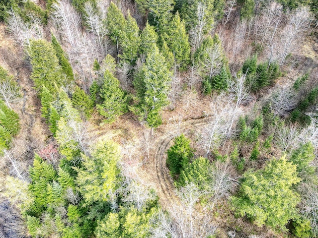 0 Little Huston Brook Rd, Concord Twp, ME 04920
