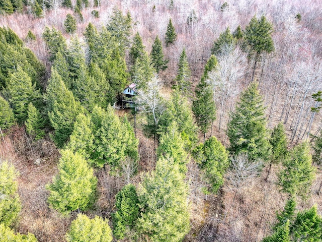 0 Little Huston Brook Rd, Concord Twp, ME 04920