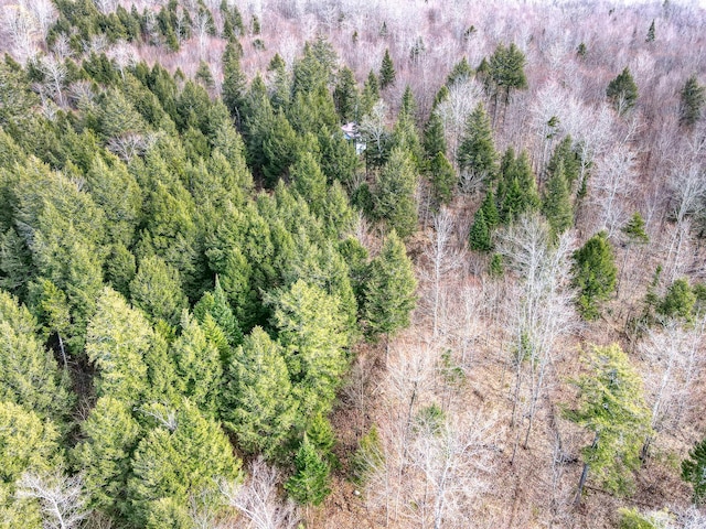 0 Little Huston Brook Rd, Concord Twp, ME 04920