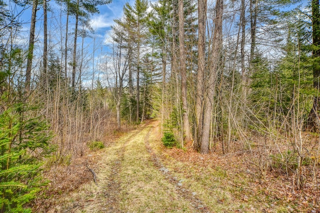 0 Little Huston Brook Rd, Concord Twp, ME 04920