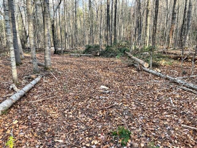 0 Little Huston Brook Rd, Concord Twp, ME 04920